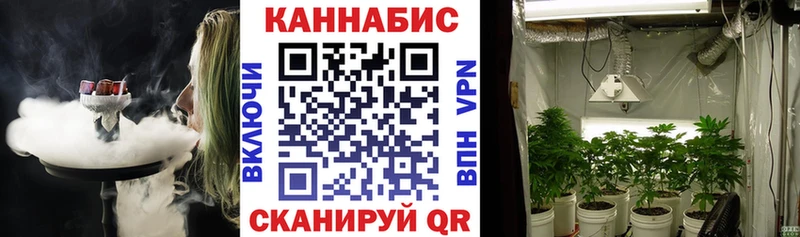 Конопля AK-47  где купить   Агрыз 